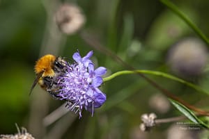DSC_3529-min