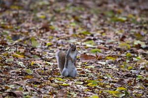 DSC_3639-min-2